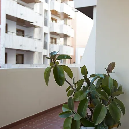 Ripoll * مدينة إيبيزا